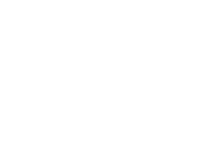 metaCalendar